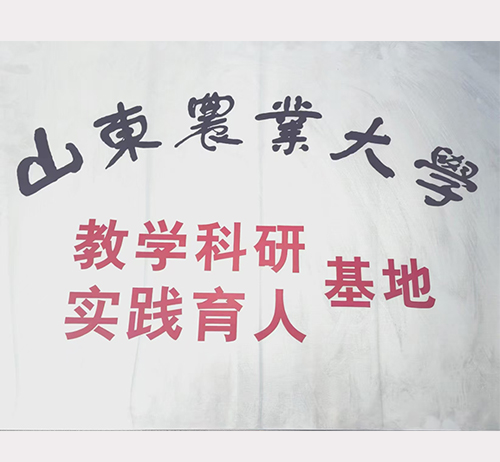 山東農業大學